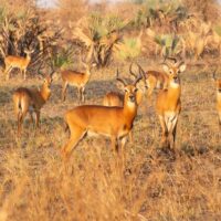 Multi-day & Extended Tours