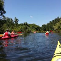 Holiday & Seasonal Tours