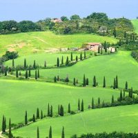 Self-guided Tours & Rentals