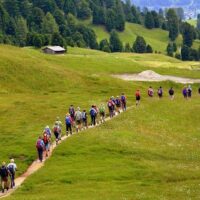 Walking & Biking Tours