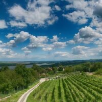 Sustainable Tours