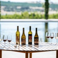 Wine Tasting & Winery Tours