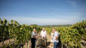 Montalcino Winery Tour and Tastings