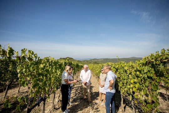 Easter in Chianti
