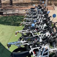 Bike Rentals