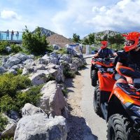 Holiday & Seasonal Tours