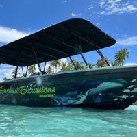 Day Trips & Excursions