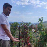 Wine Tasting & Winery Tours