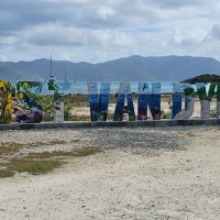 Half-day Tours