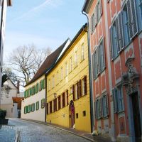 Tours & Sightseeing