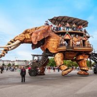 Historical & Heritage Tours