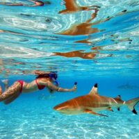Cruises, Sailing & Water Tours
