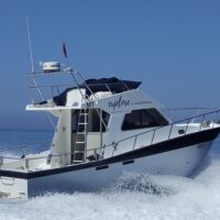 Port Transfers