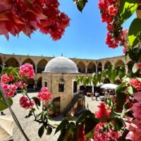 Private Sightseeing Tours
