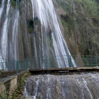 Bus & Minivan Tours
