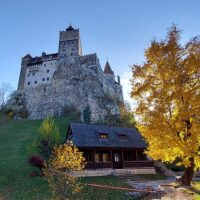 Cultural Tours
