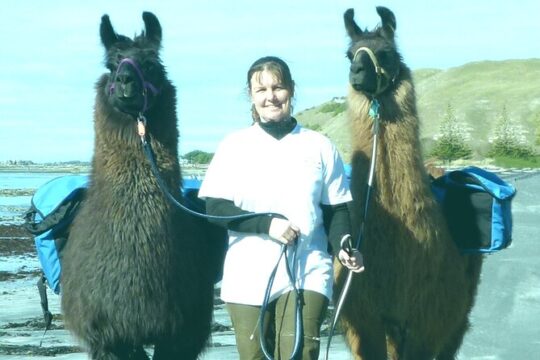 Good Friday in Kaikoura