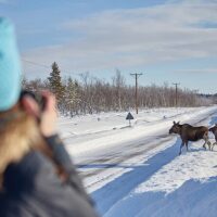Photography Tours