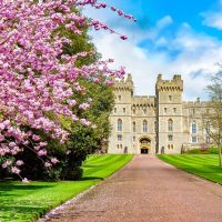 Shore Excursions