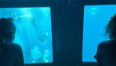 Lovely Cruise With Underwater Views and Swimming