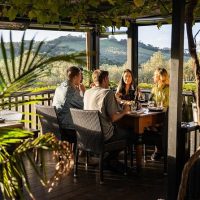 Dining Experiences
