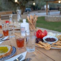 Food, Wine & Nightlife