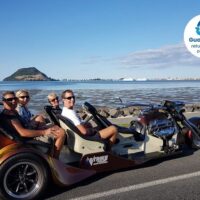 Private Sightseeing Tours