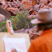 Classes & Workshops