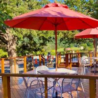 Private & Custom Tours