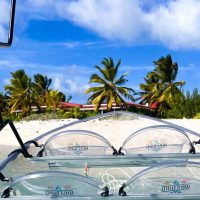 Boat Tours