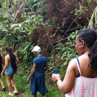 Walking Tours