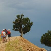 Multi-day Cruises