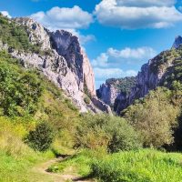 Bus & Minivan Tours