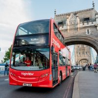 Multi-day Cruises