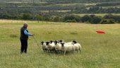 Hairy coos and castles