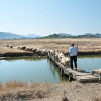 Holiday & Seasonal Tours