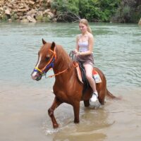Private Sightseeing Tours