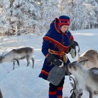 Holiday & Seasonal Tours