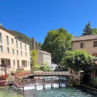 Shore Excursions