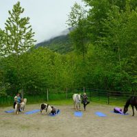 Classes & Workshops
