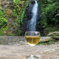 Day Trips & Excursions