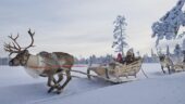 A lovely tour with the Reindeers