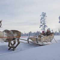 Luxury Tours