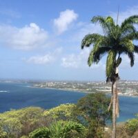 Cultural & Theme Tours