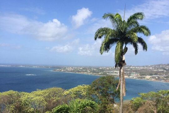 Valentine's Day in Tobago