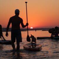 Stand Up Paddleboarding