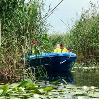 Cruises, Sailing & Water Tours
