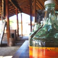 Coffee & Tea Tours