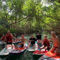 Ports of Call Tours