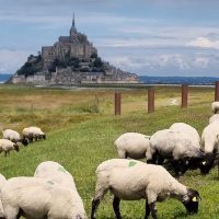Cultural & Theme Tours